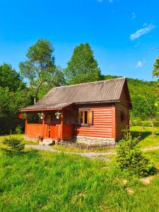 a small cabin in a field with a grassy field at Еко Садиба Під Полониною in Sasivka