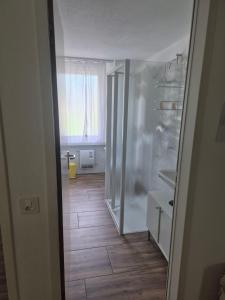 a room with a bathroom with a shower and a kitchen at Casa Rosa in Biasca