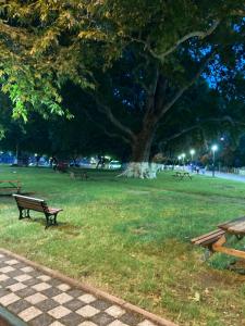a park bench in a park with a tree at Kalemi Pansiyon in Marmara