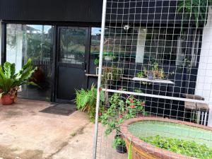 a garden with plants in pots on the side of a house at Bed Station Negombo in Negombo