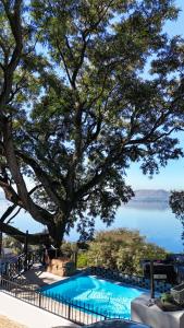a blue swimming pool with a tree and water at Harties Lake View in Hartbeespoort