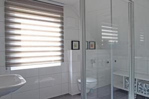 a bathroom with a toilet and a glass shower at Maison du Bonheur in Rerik +19 photos