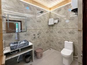 a bathroom with a toilet and a sink at The Woodnest Tandi in Jibhi