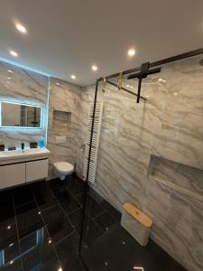 a bathroom with a shower and a toilet and a sink at Main Panorama Suite 97896 Freudenberg in Freudenberg am Main +29 photos