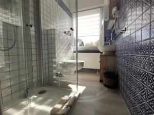 a bathroom with a shower and a sink and a toilet at Euer Ferienheim in Senftenberg