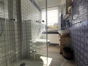 a bathroom with a shower and a toilet and a sink at Euer Ferienheim in Senftenberg