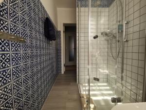 a bathroom with a walk in shower and a toilet at Euer Ferienheim in Senftenberg