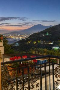 a view of a city from a balcony with flowers at B&B Venere Rooms in Pimonte