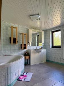 a bathroom with a bath tub and a sink at Secret Paradise apartment in Zgornje Gorje +43 photos