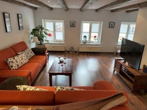 a living room with a couch and a tv at Inseldomizil - Melina in Malchow