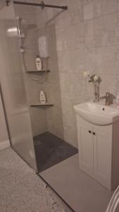 a bathroom with a shower and a sink at Kitty O'Shea's Guesthouse V94DVH9 in Limerick +26 photos