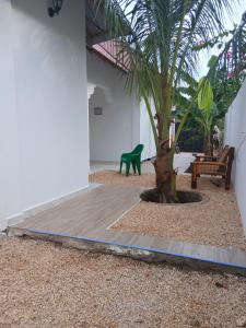 a courtyard with a palm tree and a green bench at Sun House Kendwa in Kendwa