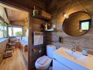 ein Badezimmer mit Toilette, Waschbecken und Spiegel in der Unterkunft Casa do Azevim in Gavieira + 87 Fotos