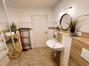 a bathroom with a sink and a mirror at FeWo Mäusehaus ID 16291-7 in Kargow