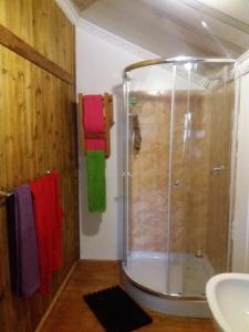 a shower with a glass door in a bathroom at Reggies bed & breakfast in Polokwane