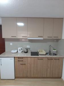 a kitchen with wooden cabinets and a white refrigerator at Apartment Matej in Kruševo +5 photos