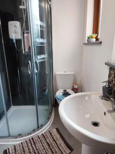 a bathroom with a shower and a sink and a toilet at The Courtyard Hideout in Hereford