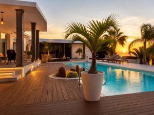 a potted palm tree sitting on a deck next to a swimming pool at Villa Claus - Private Pool Oasis in Puerto Calero in Puerto Calero