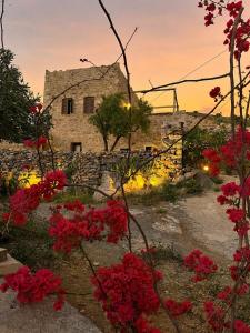a stone building with red flowers in front of it at Agrià XVII Mani Stone Tower in Kotráfion