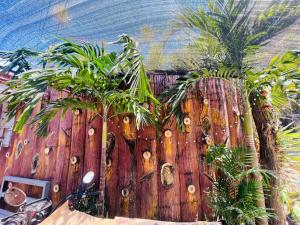 สวนหย่อมนอก Cherry Travellers Inn +8 ภาพ