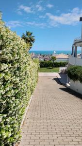 a hedge with a brick walkway in front of a house at just blue in Montesilvano