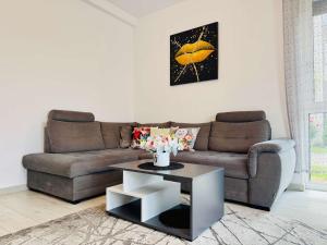 a living room with a couch and a coffee table at Joy City Stay Lavandei 2 in Timişoara