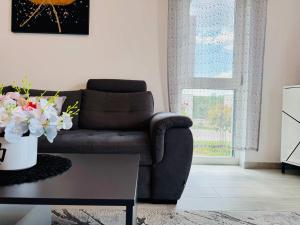 a living room with a couch and a table at Joy City Stay Lavandei 2 in Timişoara