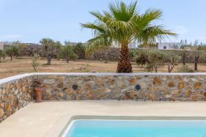 a palm tree behind a stone wall with a swimming pool at Philippi Villa in Mikonos
