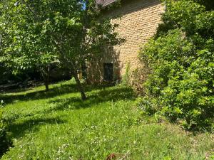 a yard with grass and trees and a brick building at Le Petit Clos périgourdin in Église-Neuve-de-Vergt