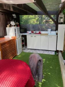 a kitchen with a table and a kitchen with grass at Chambre d'HÔTE Maison De L'amitié in Lanton +16 photos