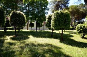 a group of trees in a yard with grass at Villaggio Marina in Bibione