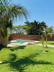 a yard with a swimming pool and palm trees at Kim Guesthouse in Harare