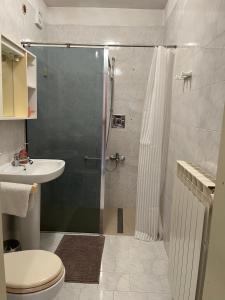 a bathroom with a shower and a toilet and a sink at Apartma Danijela in Kanal