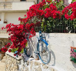 a blue bike parked next to a wall with red flowers at Old Town Charm in Dhërmi