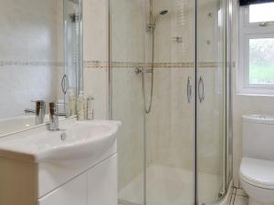 a bathroom with a shower and a sink and a toilet at Drumwherry By The Sea in Monreith +15 photos
