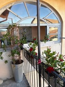 a balcony with potted plants and a window at Storico in Como