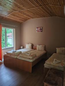 a bedroom with two beds and a window at Hotel Valdis in Pastra