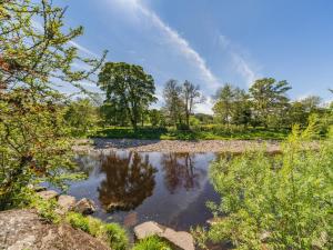 a small pond with trees and clouds in the sky at Riverside Cottage - Uk32405 in Stanhope