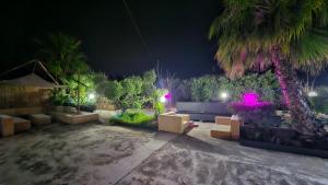 a garden at night with a palm tree and lights at MarEden Sicily Room , Relax e Bonsai in Favara +60 photos