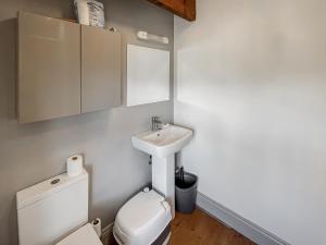 a small bathroom with a toilet and a sink at Fronfanol - Uk49776 in Llanfair Talhaiarn