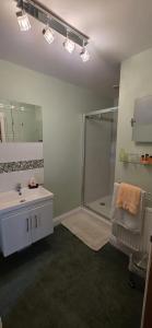 a bathroom with a white sink and a shower at Island House in Lanercost