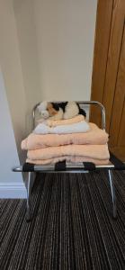 a cat laying on a pile of towels on a rack at Island House in Lanercost +3 photos