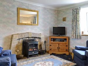 a living room with a fireplace and a tv at Waterfall Cottage in Glendale