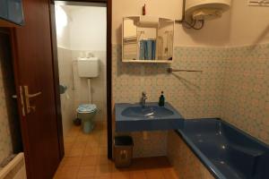 a bathroom with a blue sink and a toilet at Hiša Varleh in Mengeš +12 photos