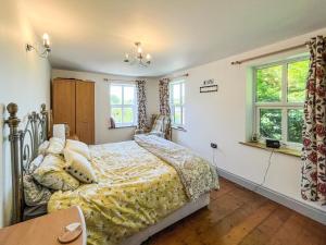 a bedroom with a bed and two windows at Fronisaf - Uk49775 in Llanfair Talhaiarn