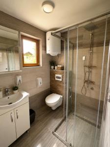 a bathroom with a toilet and a glass shower at Drinka in Ljubovija +25 photos