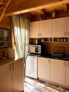 a kitchen with a refrigerator and a microwave at Drinka in Ljubovija