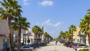 a street with palm trees and cars parked on the street at Magnuson Hotel Jacksonville Downtown in Jacksonville