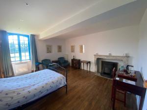 a bedroom with a bed and a fireplace at Chateau de Grandsagne in Bonnat