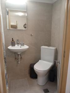 a bathroom with a white toilet and a sink at Kimourioti Green House in Sitia